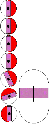 翻板液位計(jì)工作原理圖